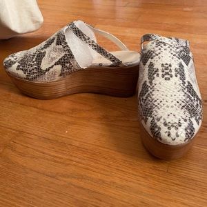 New Adrian Allen Snakeskin Clogs